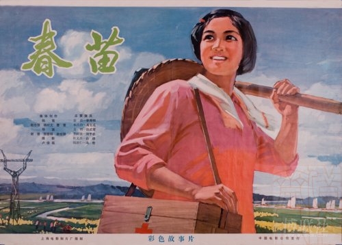 麻布大学Diploma in Public Administration